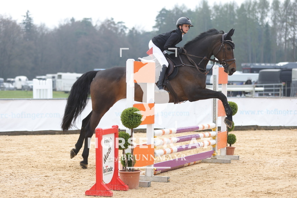 0P6A8871 | Willkommen bei Brunnmayr - Design & Fotografie – Ihrem Spezialisten für Reitturniere und Pferdeveranstaltungen in Oberösterreich, Salzburg und Bayern! Seit über 17 Jahren sind wir leidenschaftlich dabei.