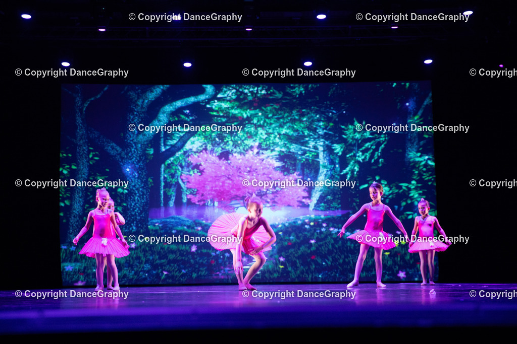 GPHY5031 | DanceGraphy - Realisiert mit Pictrs.com