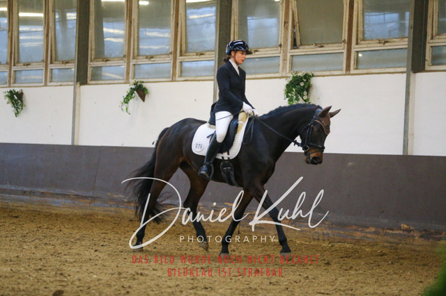 IMG_8149 | Turniersportfotografie; Pferdefotografie; Dressurfotografie