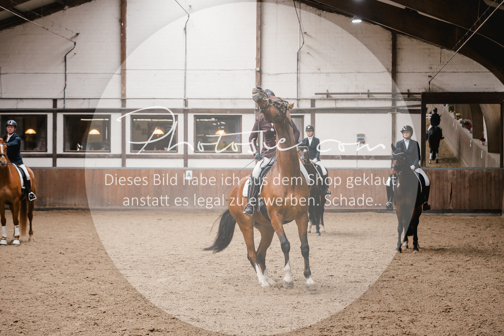 3I6A6941 | Stimmungsvolle Portraits und Reitsportfotografie im Ruhrgebiet und im Münsterland.

Pferdefotografie, Hundefotografie, Tierfotografie, Reportagen, Portraits von Tier und Mensch, Turnierfotografie in Bochum, Recklinghausen, Marl, Haltern am See, Dülmen.. - Realisiert mit Pictrs.com