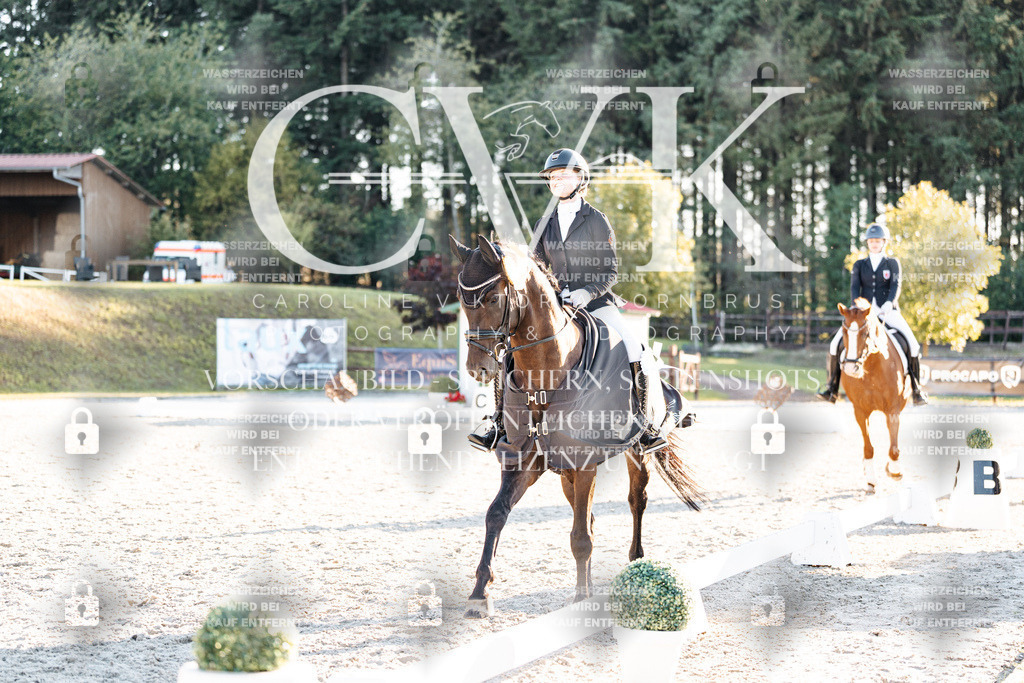CK907266 | Turnierfotografie Pferdefotografie Trier Rheinland-Pfalz Pferdesport Reitsport Tierfotografie Sportfotografie Pferdevideo Pferdevideografie Equestrianvideography equestrianphotography  - Realisiert mit Pictrs.com