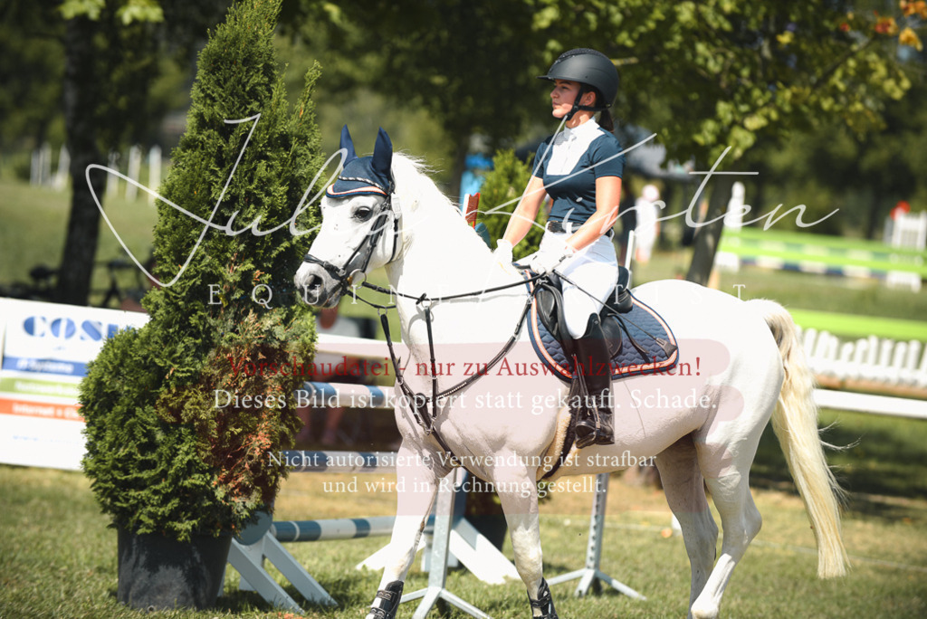 DSC_6733 | Pferde- und Turnierfotografie in Westsachsen. Pferdeportraits, Auftragszeichnungen und intuitive Kunst.