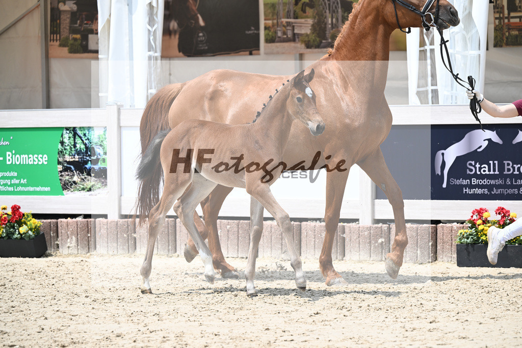 Cardento x Heartbreaker_SF_Wagner_12250853 | hf-fotografie - Realisiert mit Pictrs.com