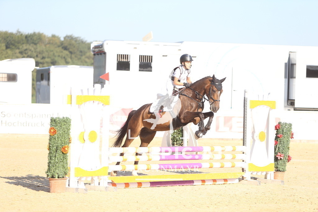 DL2Q8158 | Willkommen bei Brunnmayr - Design & Fotografie – Ihrem Spezialisten für Reitturniere und Pferdeveranstaltungen in Oberösterreich, Salzburg und Bayern! Seit über 17 Jahren sind wir leidenschaftlich dabei.