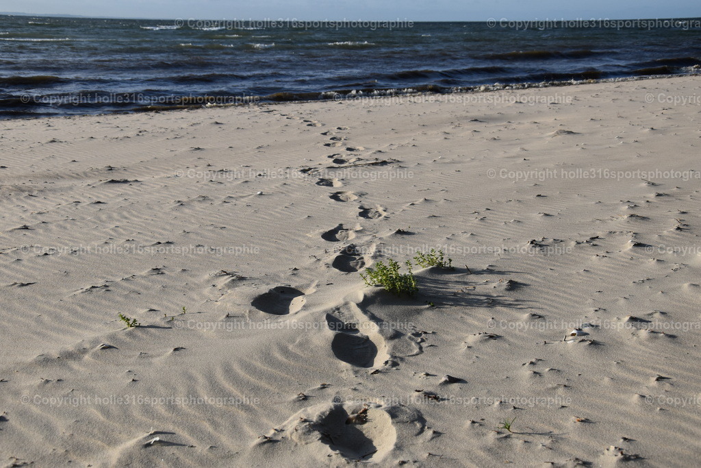 DSC_0071 | Sportfotografie , Motorsport, Motoross, Reitsport, Mointainbike, Enduro,
Landschaft , Outdoor, Eventfotografie, Landschaft, Bilder online bestellen - Realisiert mit Pictrs.com