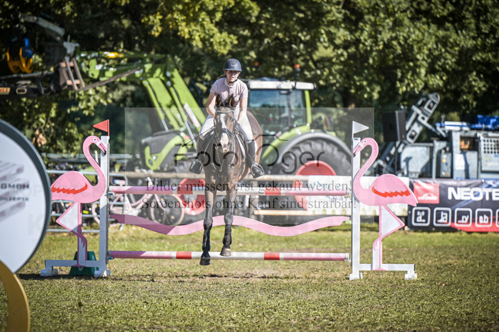 DOS_0354 | Entdecke hochwertige Reitturnierfotos von Foto Oger. Professionell, emotional und authentisch – jetzt Lieblingsmomente im Shop bestellen.Deutschlandweite Turnierfotografie. - Realisiert mit Pictrs.com
