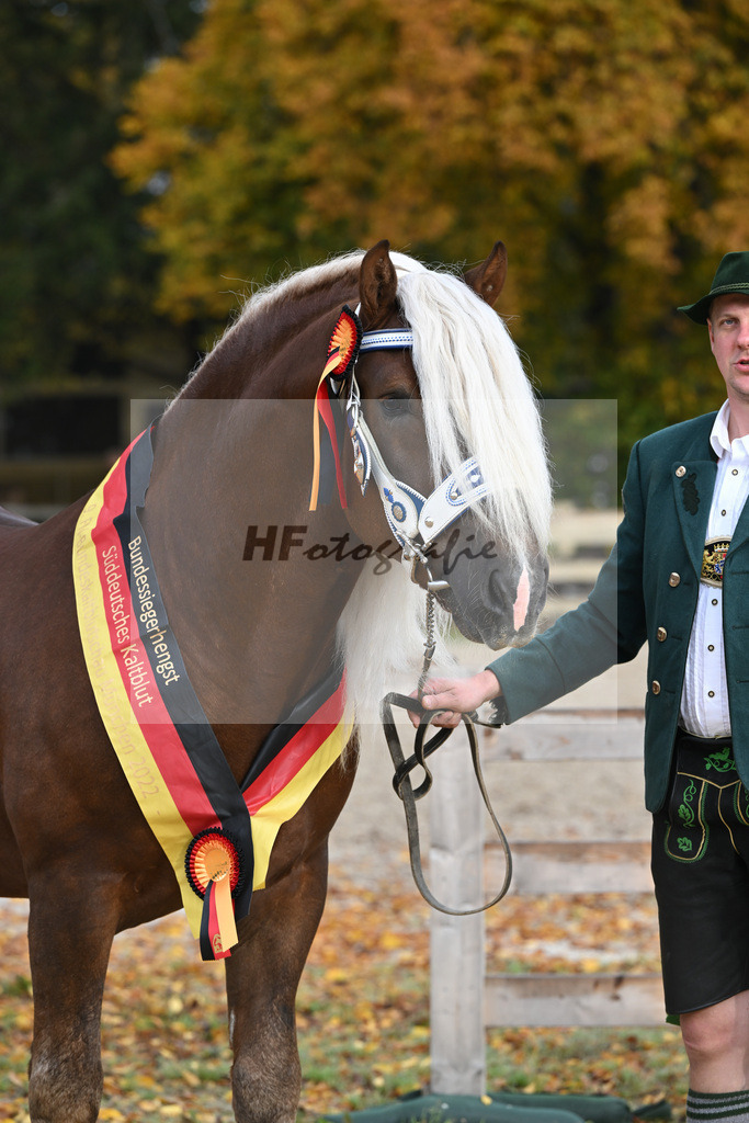 Kat-Nr. 90 Venturin_Hollinger u Ober_53223087 | hf-fotografie - Realisiert mit Pictrs.com