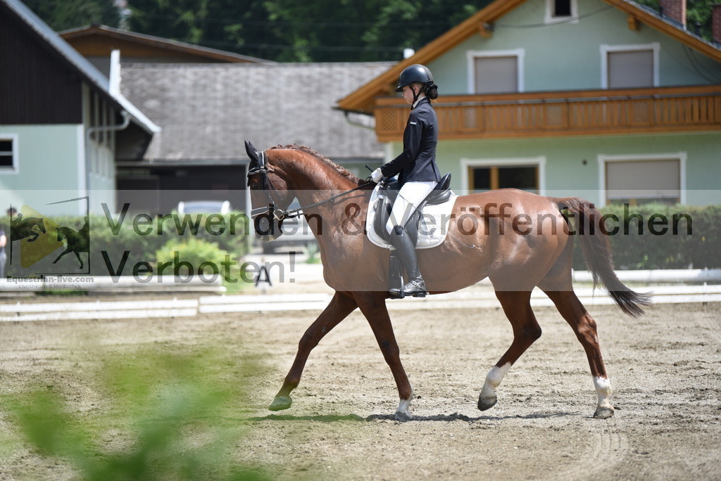 DSC_9503 | equestrian-live-com