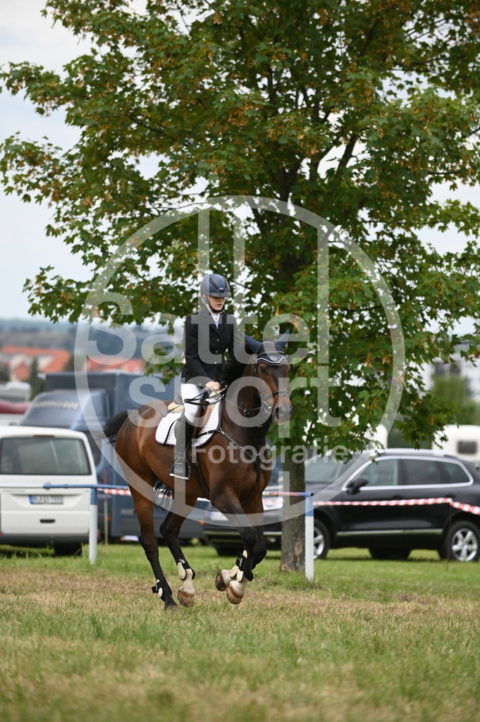 DSC_2203 | sattelsport - Realisiert mit Pictrs.com