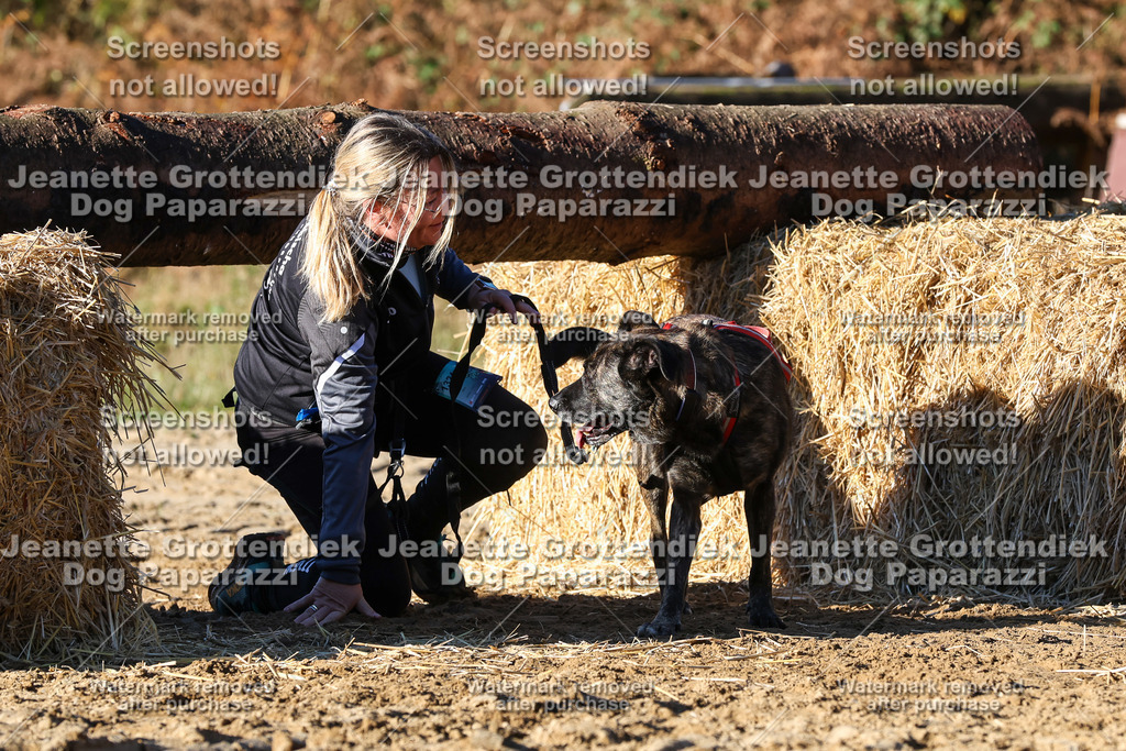 Dog Paparazzi - Strongdog 10-25-1696 | Dog Paparazzi Jeanette Grottendiek Fotografie & Videografie - Realisiert mit Pictrs.com