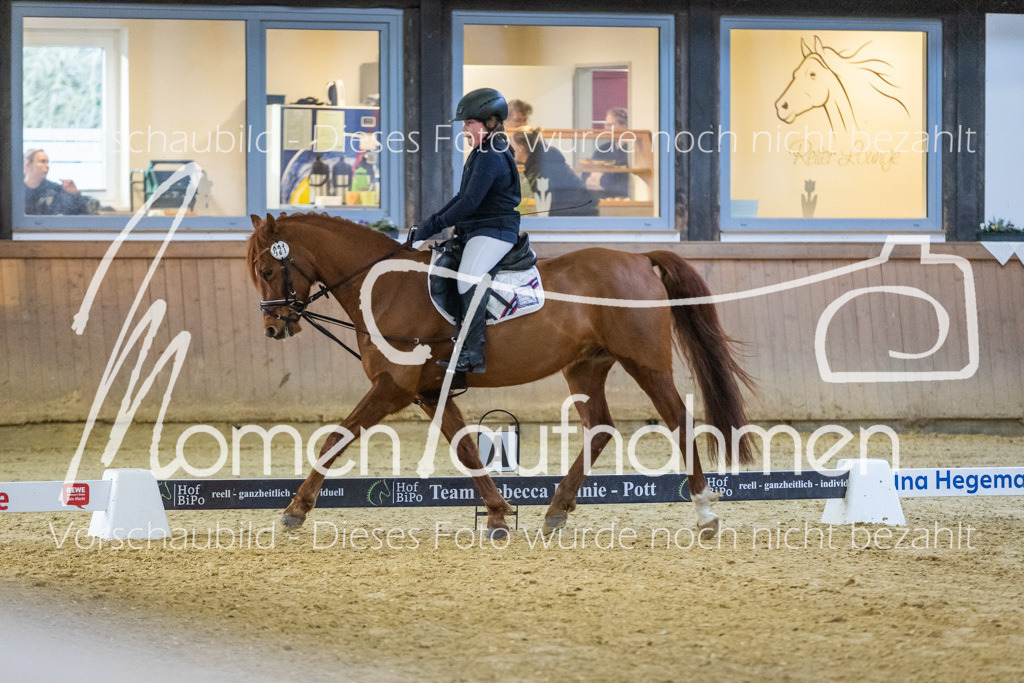 Sth-WBO25-DrR-120 | MomenTaufnahmen Pferdesportfotos