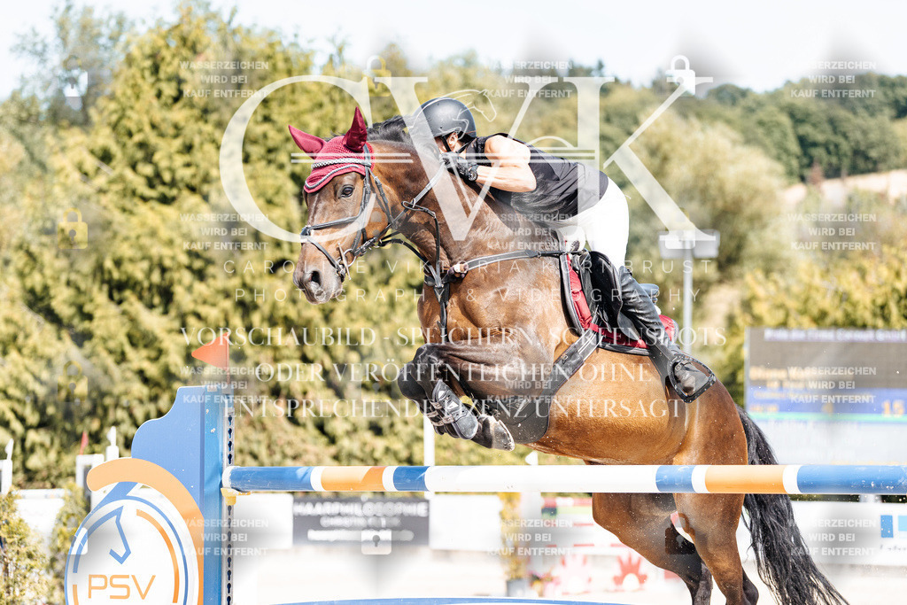 CK905325 | Turnierfotografie Pferdefotografie Trier Rheinland-Pfalz Pferdesport Reitsport Tierfotografie Sportfotografie Pferdevideo Pferdevideografie Equestrianvideography equestrianphotography  - Realisiert mit Pictrs.com