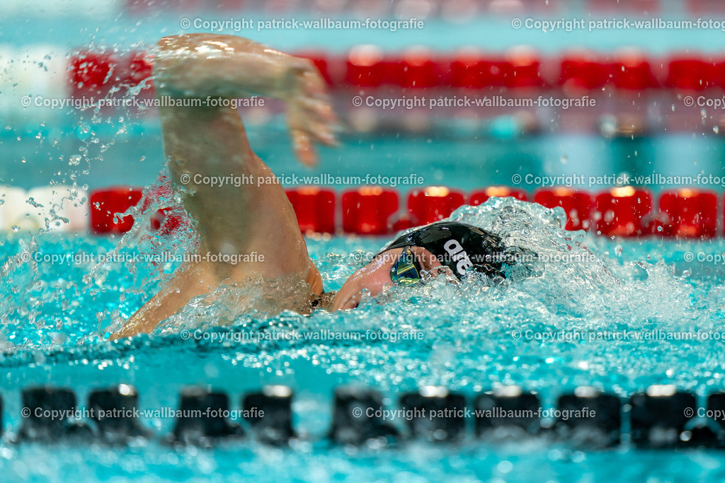 Piranha-2025-1396 | patrick-wallbaum-fotografie - Realisiert mit Pictrs.com