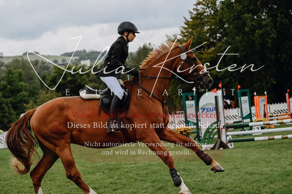 DSC_6862 | Pferde- und Turnierfotografie in Westsachsen. Pferdeportraits, Auftragszeichnungen und intuitive Kunst.