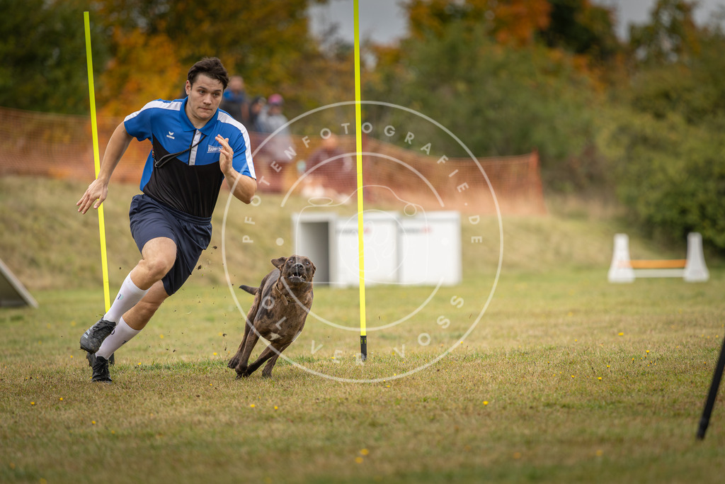 Pfotenfotografie_DV3A5612 | Hundefotografie, Tierfotograf, Pfotenfotografie, Fotoshooting Hund, Hunde Portrait, Hundesport, Hundeportraits, Heideshooting, Hunde, Sportfotograf, Hundefotograf, Turnierhundsport, THS,  - Realisiert mit Pictrs.com