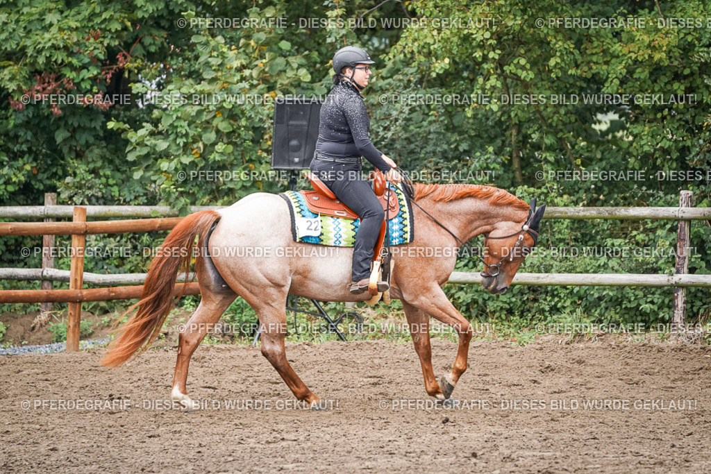 DSC02010 | Pferdegrafie