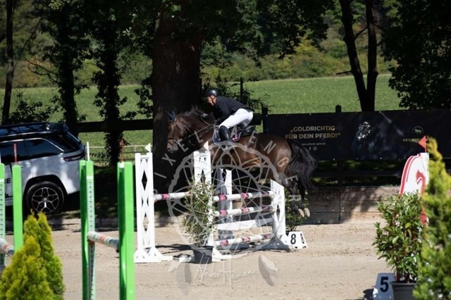 2B4A0456 | pixelfaenger - Realisiert mit Pictrs.com