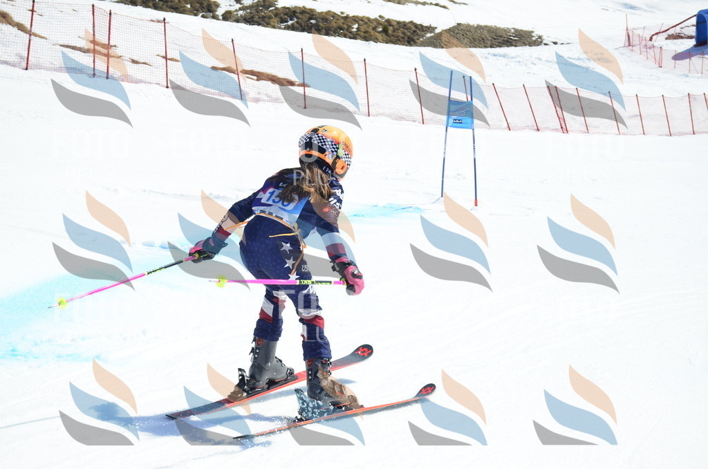 _ELE0995 | holidayphoto