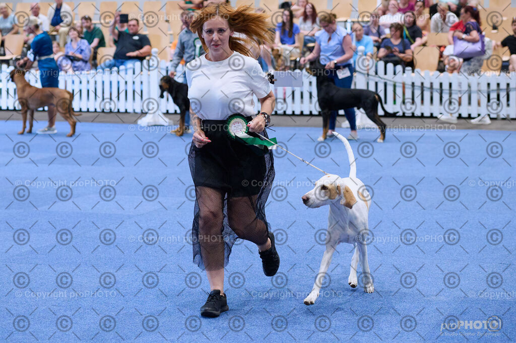 202406_ÖKV-IHA-Tulln24_DSC_4054 | proPHOTO - Realisiert mit Pictrs.com