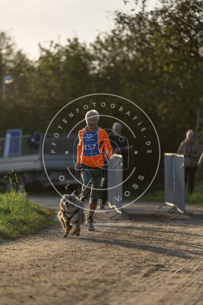 Pfotenfotografie.de_DV3A2586 | Hundefotografie, Tierfotograf, Pfotenfotografie, Fotoshooting Hund, Hunde Portrait, Hundesport, Hundeportraits, Heideshooting, Hunde, Sportfotograf, Hundefotograf, Turnierhundsport, THS, canicross - Realisiert mit Pictrs.com