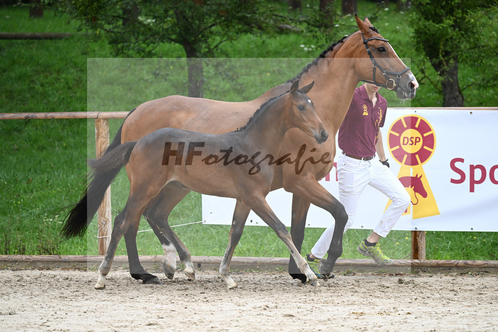Kat-Nr. 20 SF Comme Prevu_Mayer_25230256 | hf-fotografie - Realizzato con Pictrs.com