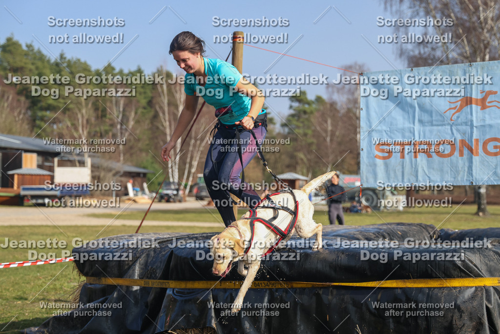 Dog Paparazzi - Strongdog North Mrz26-2438 | Dog Paparazzi Jeanette Grottendiek Fotografie & Videografie - Realisiert mit Pictrs.com