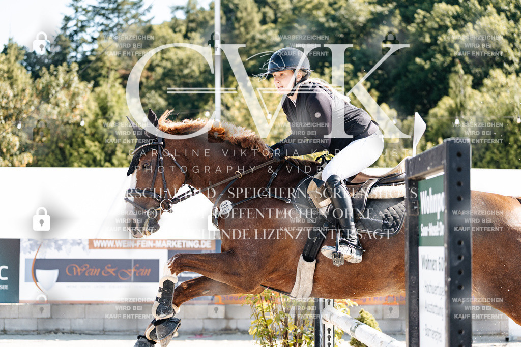 CK907767 | Turnierfotografie Pferdefotografie Trier Rheinland-Pfalz Pferdesport Reitsport Tierfotografie Sportfotografie Pferdevideo Pferdevideografie Equestrianvideography equestrianphotography  - Realisiert mit Pictrs.com