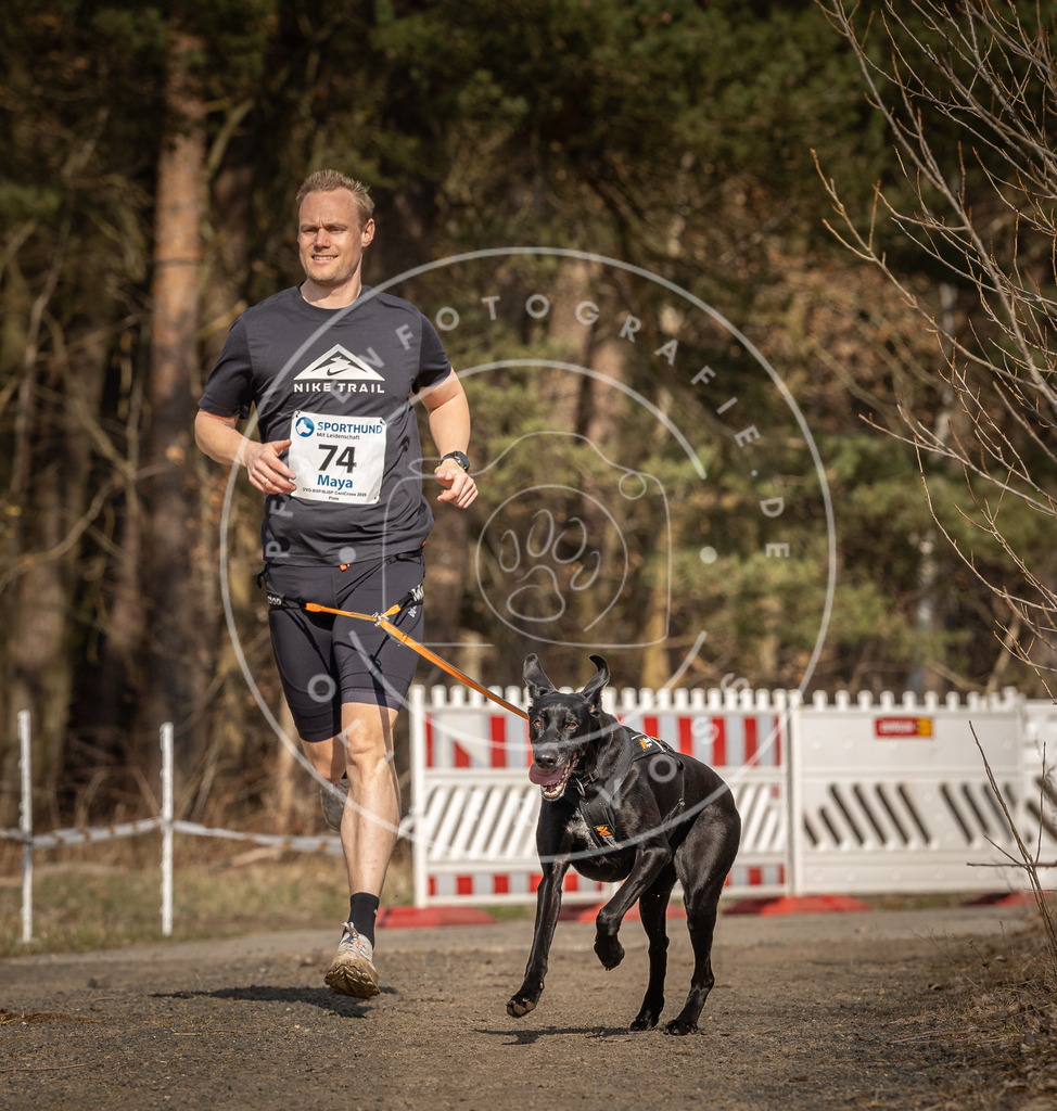 DV3A5657 | Hundefotografie, Tierfotograf, Pfotenfotografie, Fotoshooting Hund, Hunde Portrait, Hundesport, Hundeportraits, Heideshooting, Hunde, Sportfotograf, Hundefotograf, Turnierhundsport, THS,  - Realisiert mit Pictrs.com