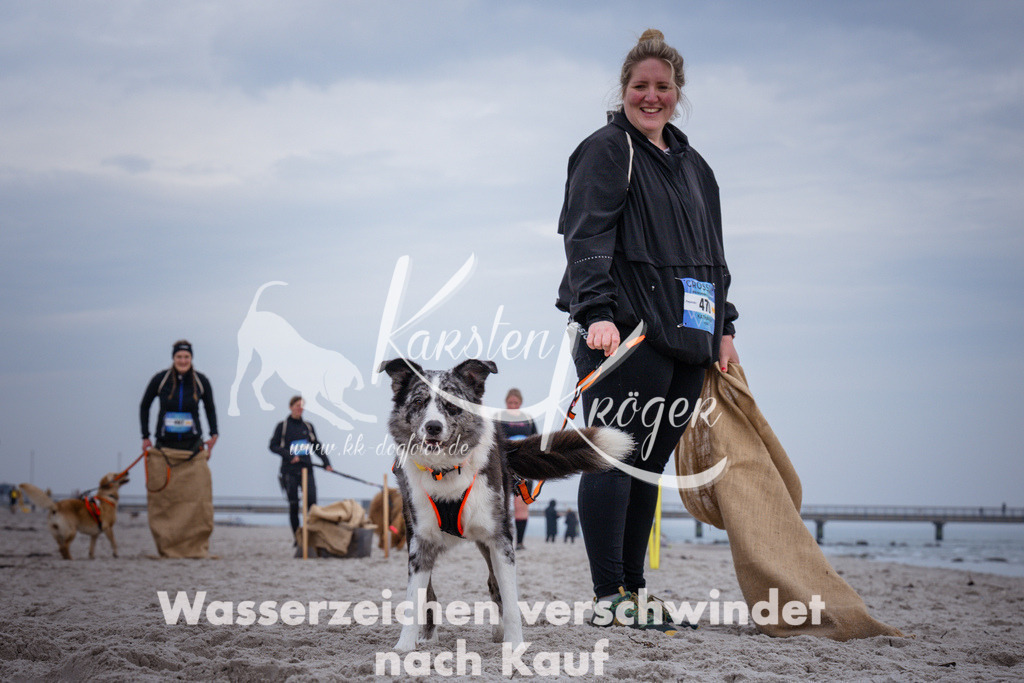 1213_ZZ92641 | kk-dogfotos