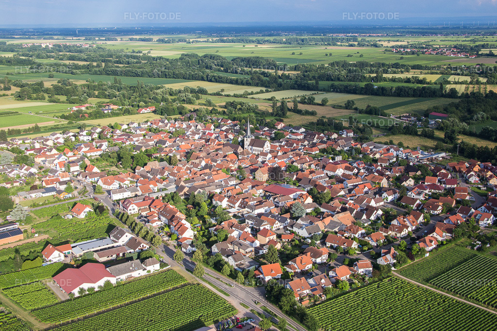 Luftbild: landwirtschaftlichen Feldern und Nutzflächen in Venningen im Bundesland Rheinland-Pfalz in Deutschland. Foto: IMG_090114.jpg vom 26.06.2016 durch Werner Riehm/FLY-FOTO.de