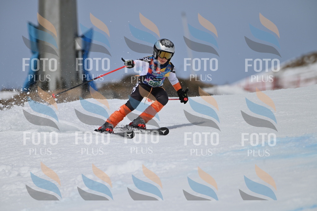 BGV_5675 | holidayphoto