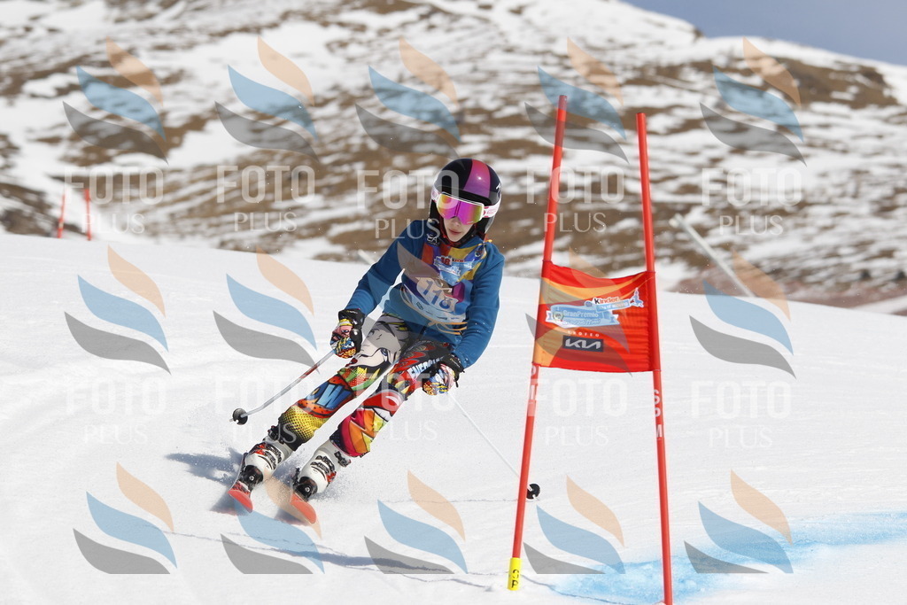 _U3G0662 | holidayphoto