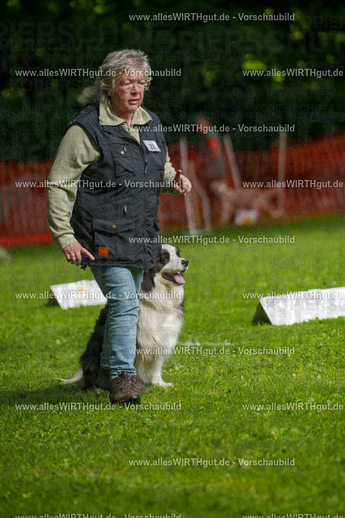 @allesWIRTHgut_Tierfotografie - www.allesWIRTHgut.de - 7R502725 | Professionelle Tierfotografie in Mönchengladbach von Daniel Wirth (allesWIRTHgut). Liebevolle & natürliche Bilder von Hunden & Katzen für unvergessliche Erinnerungen.
