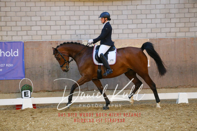 IMG_2978 | Turnierfotos kaufen im Webshop von Daniel Kuhl Photography – entdecke professionelle Reitsportfotos aus Turnieren & Events. Hochwertige Turnierbilder online bestellen & sichern. Jetzt Fotos von Reitsportturnieren kaufen!