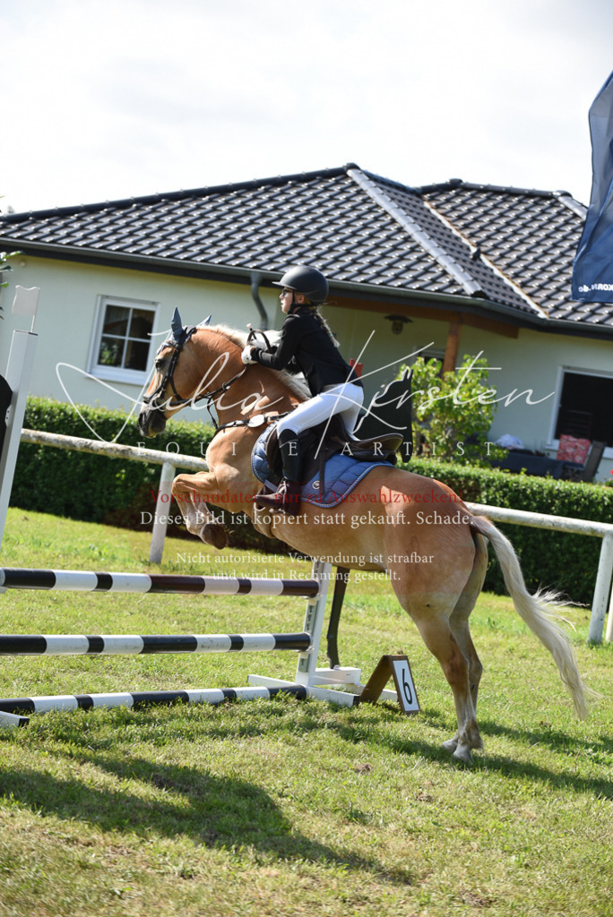 DSC_9055 | Pferde- und Turnierfotografie in Westsachsen. Pferdeportraits, Auftragszeichnungen und intuitive Kunst.