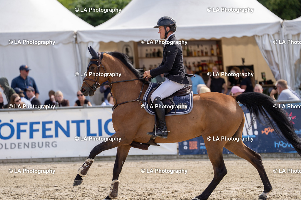 DSC06280 | Entdecke einzigartige Turnierfotos und persönliche Pferde- und Hundeportraits bei LA Photography. Für jeden Reiter und Pferd das perfekte Bild! Stöbere jetzt! - Realisiert mit Pictrs.com