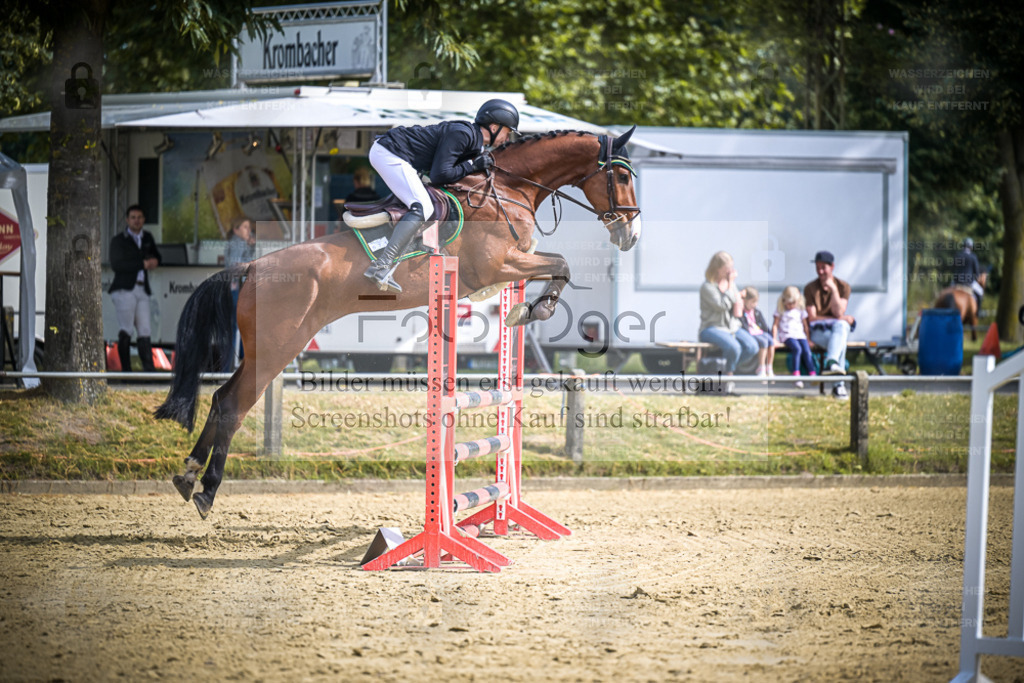 DOS_5951 | Entdecke hochwertige Reitturnierfotos von Foto Oger. Professionell, emotional und authentisch – jetzt Lieblingsmomente im Shop bestellen. - Realisiert mit Pictrs.com