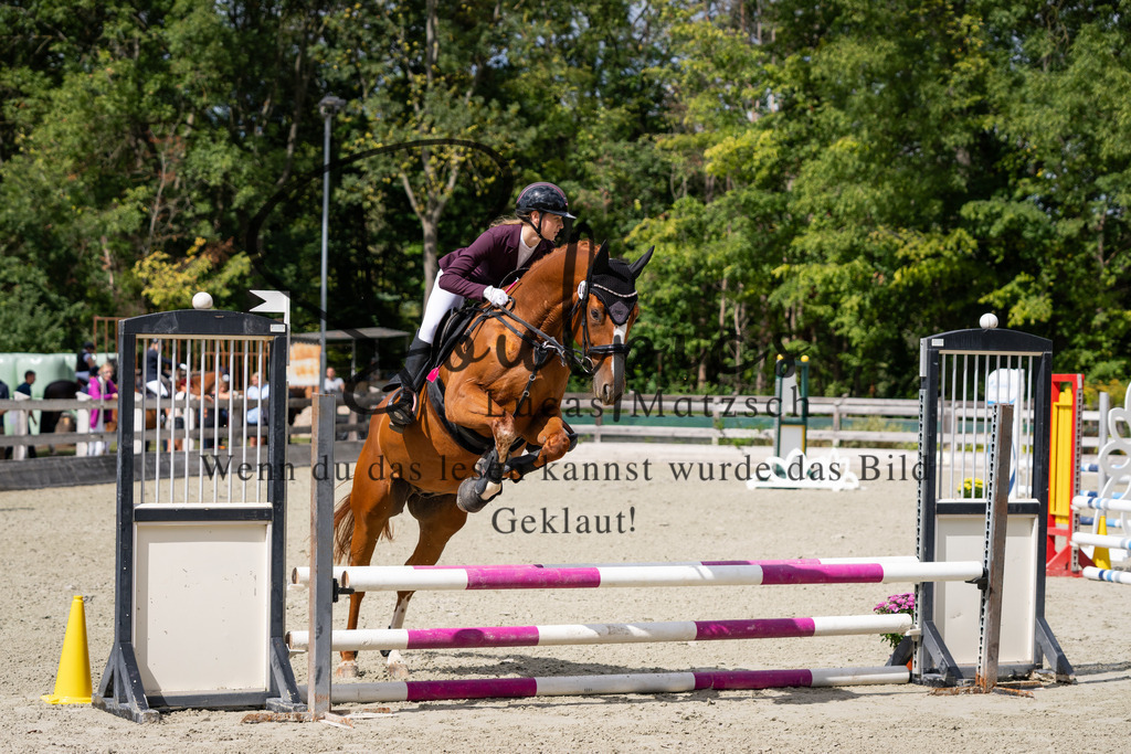 A7V07359 | Turnier/Reitfotograf