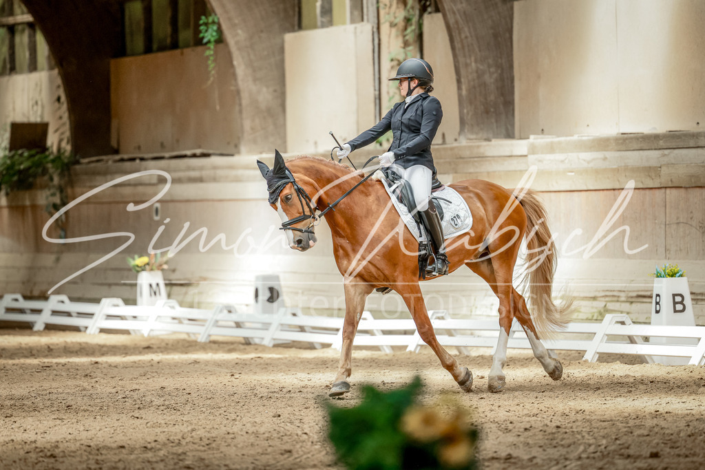 20250621-_3LI6674 | Tierfotografie Pferde, Hunde, Katzen, Haustiere.
Turnierfotografie Reitturniere, Reiten, Springreiten, Dressur in Hanau, dem Main-Kinzig-Kreis und dem Rhein-Main- Gebiet um Frankfurt