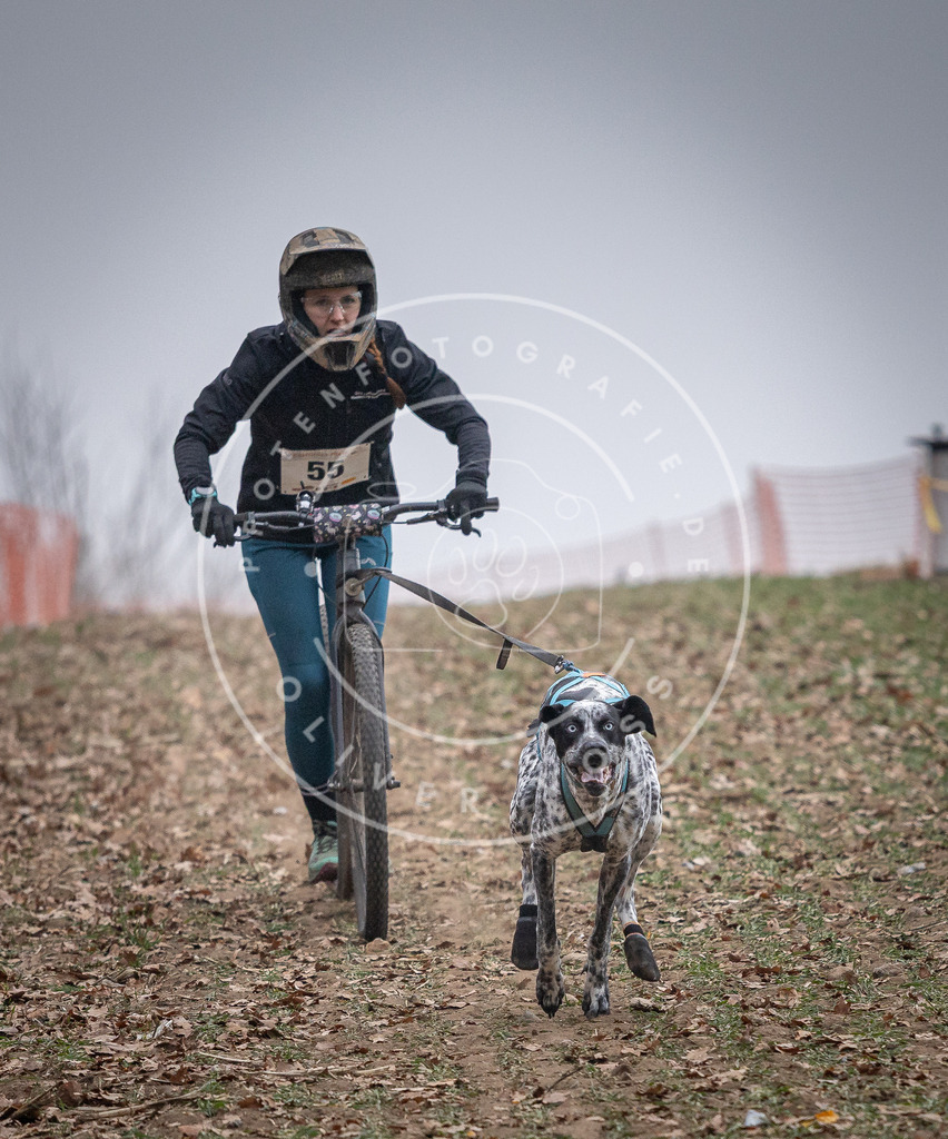 Pfotenfotografie_DV3A1167 | Hundefotografie, Tierfotograf, Pfotenfotografie, Fotoshooting Hund, Hunde Portrait, Hundesport, Hundeportraits, Heideshooting, Hunde, Sportfotograf, Hundefotograf, Turnierhundsport, THS,  - Realisiert mit Pictrs.com
