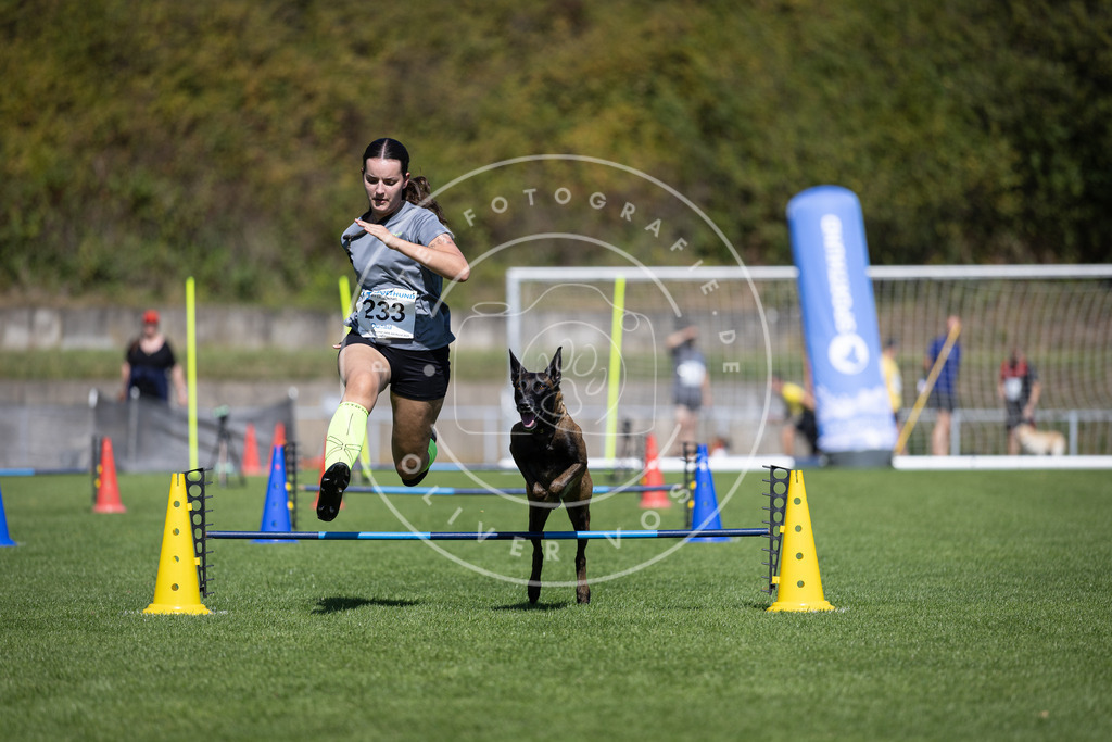 Pfotenfotografie_DV3A5755 | Hundefotografie, Tierfotograf, Pfotenfotografie, Fotoshooting Hund, Hunde Portrait, Hundesport, Hundeportraits, Heideshooting, Hunde, Sportfotograf, Hundefotograf, Turnierhundsport, THS,  - Realisiert mit Pictrs.com