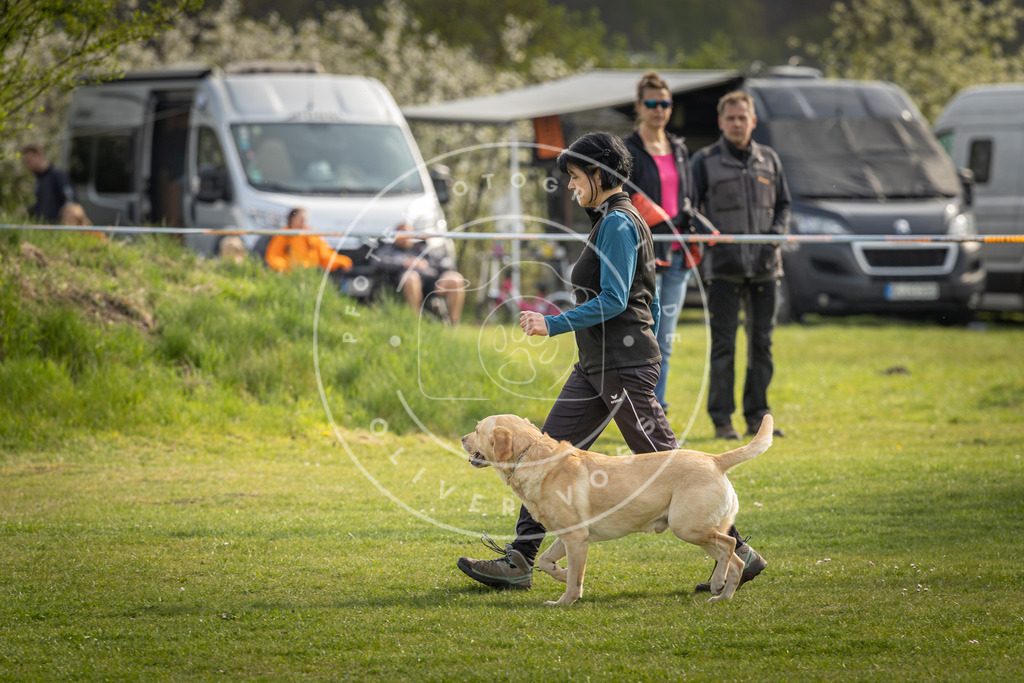 Pfotenfotografie_DV3A4988 | Hundefotografie, Tierfotograf, Pfotenfotografie, Fotoshooting Hund, Hunde Portrait, Hundesport, Hundeportraits, Heideshooting, Hunde, Sportfotograf, Hundefotograf, Turnierhundsport, THS,  - Realisiert mit Pictrs.com