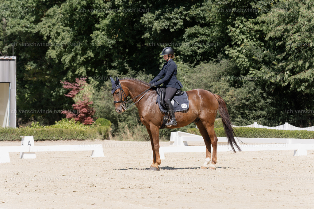WS_DR_5_sinafilmart_IN09569 | working equitationturnier fotograf videograf stoibphotography marixx film working equitation deutschland reitsport turnierfotografie eventfotografie equestrian events