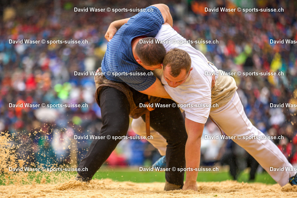 253008 Staudenmann Fabian ___ - Kolb This __ _ L_Eidg. Schwing- und Älplerfest (ESAF) Glarnerland+_ Mollis_ le 30.08.2025 _ sports-suisse.ch _ (1) | 253008 Staudenmann Fabian *** - Kolb This ** à L'Eidg. Schwing- und Älplerfest (ESAF) Glarnerland+, Mollis, le 30.08.2025 " sports-suisse.ch "
