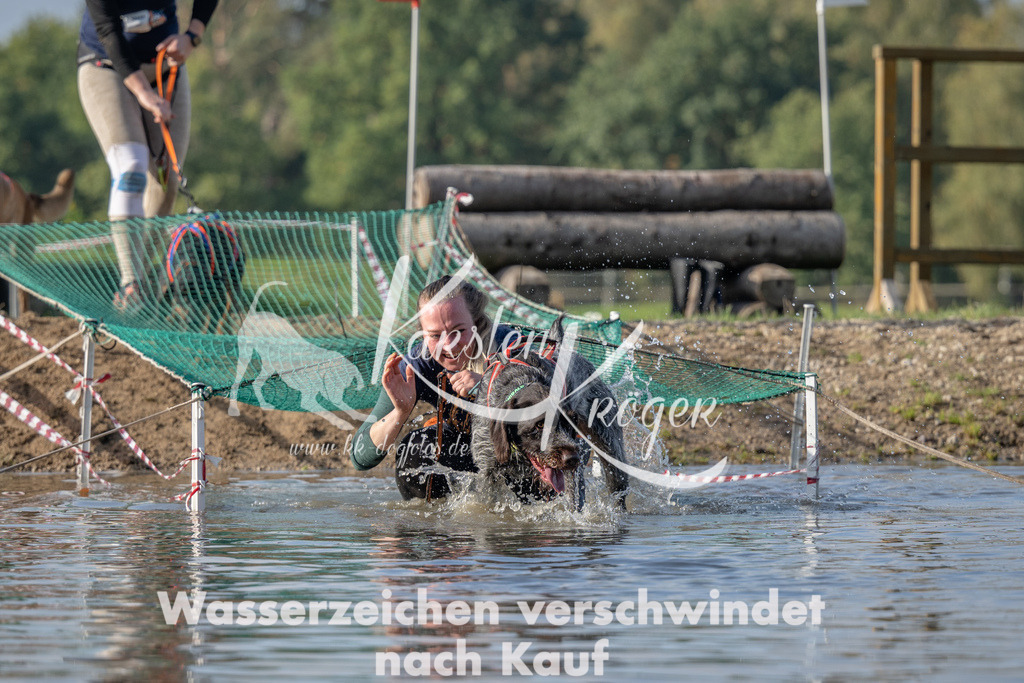 1102_ZZ91188 | kk-dogfotos