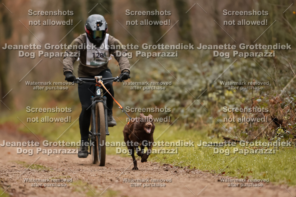 Dog Paparazzi - Speedhunter Mannheim  2025-358 | Dog Paparazzi Jeanette Grottendiek Fotografie & Videografie