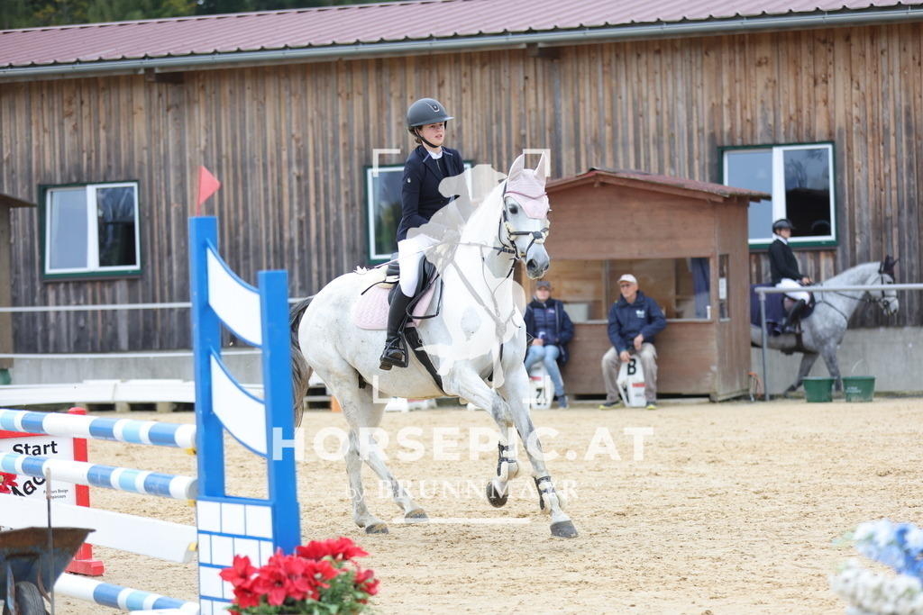 0P6A1271 | Willkommen bei Brunnmayr - Design & Fotografie – Ihrem Spezialisten für Reitturniere und Pferdeveranstaltungen in Oberösterreich, Salzburg und Bayern! Seit über 17 Jahren sind wir leidenschaftlich dabei.