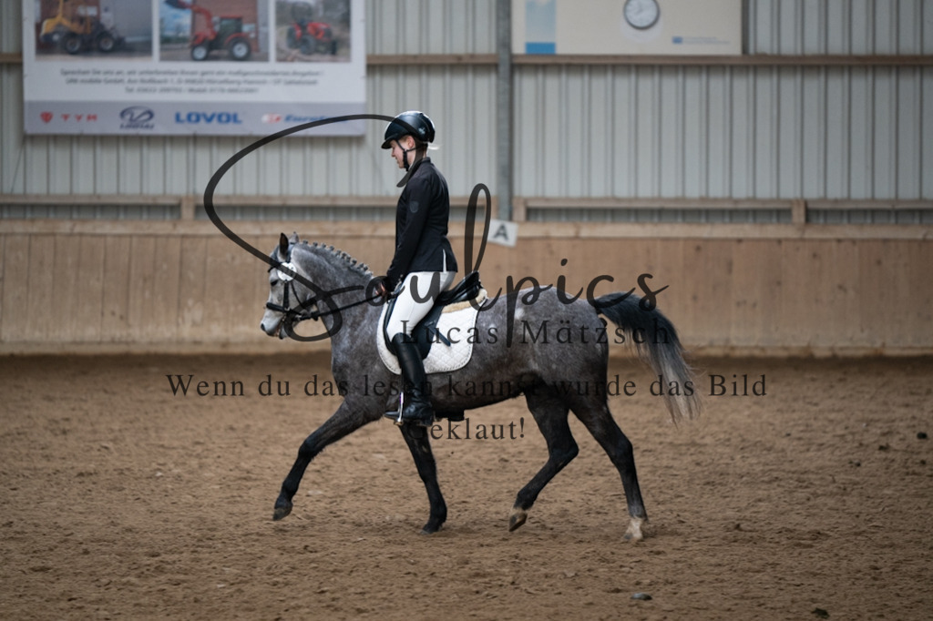 A7V05023 | Pferdefotograf