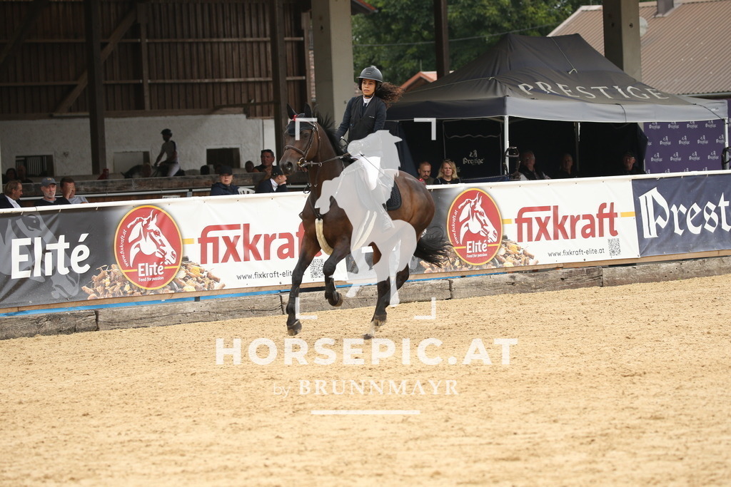 DL2Q7254 | Willkommen bei Brunnmayr - Design & Fotografie – Ihrem Spezialisten für Reitturniere und Pferdeveranstaltungen in Oberösterreich, Salzburg und Bayern! Seit über 17 Jahren sind wir leidenschaftlich dabei.