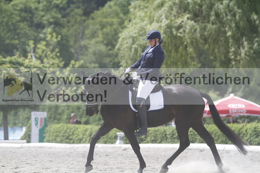 _MG_0015 | equestrian-live-com